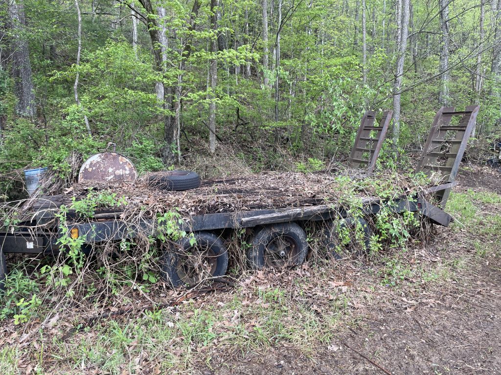 IMG 0839
